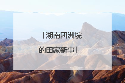 湖南团洲垸的田家新事